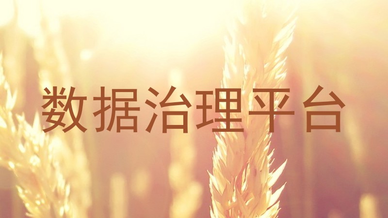 数据治理平台