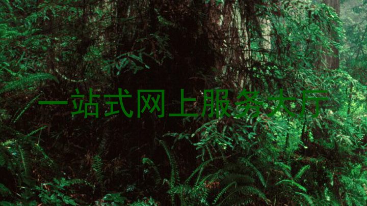 一站式网上服务大厅