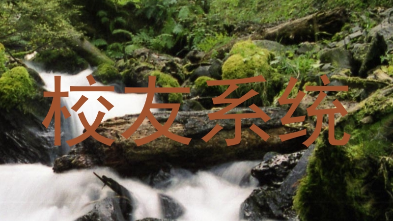 校友系统