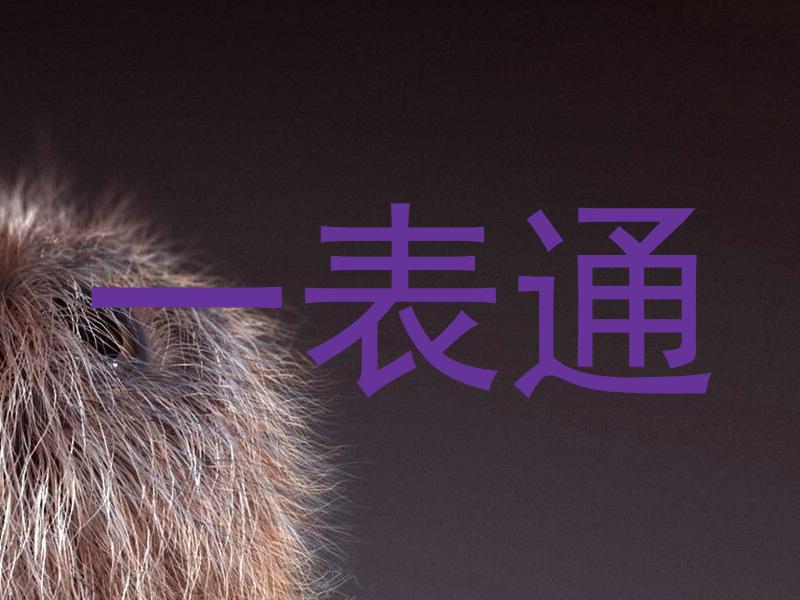 一表通