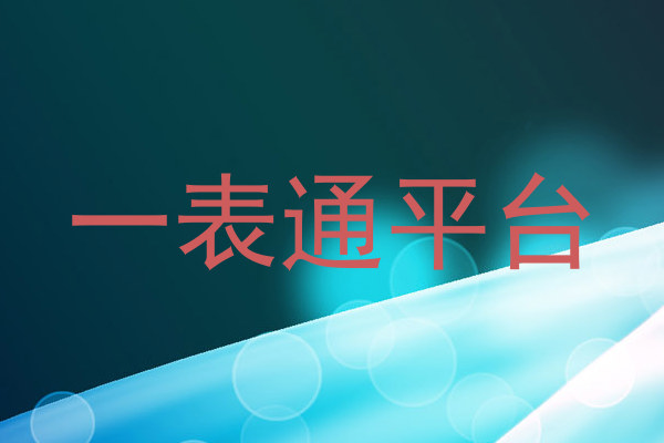 一表通平台