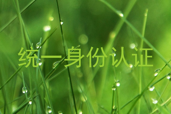 统一身份认证