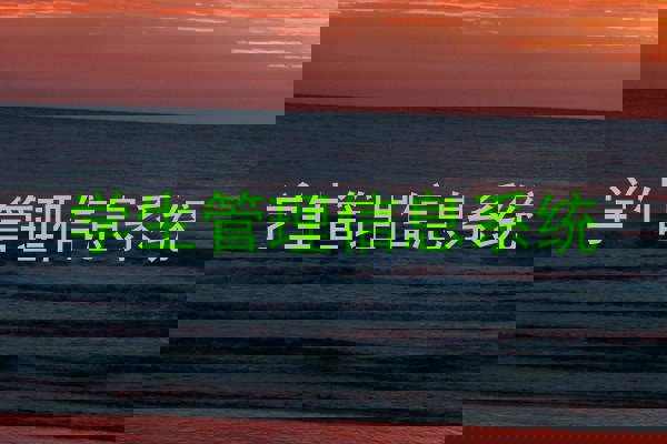 学生管理信息系统