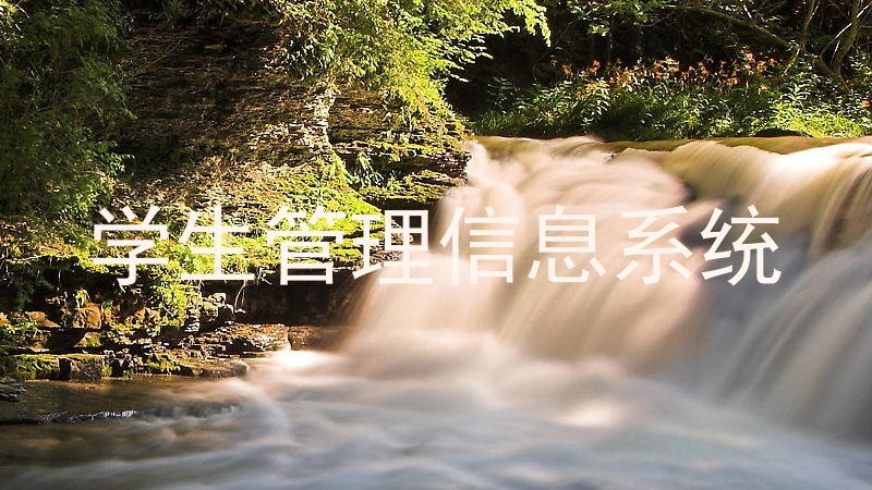 学生管理信息系统