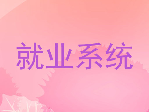 就业系统