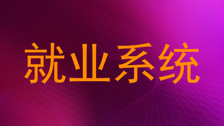 就业系统