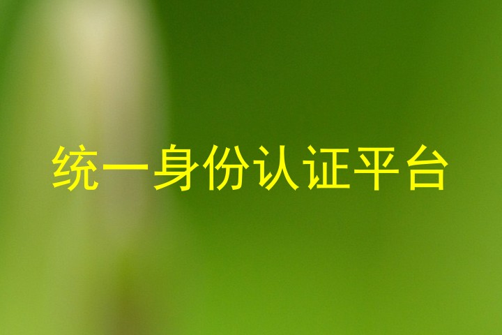 统一身份认证平台