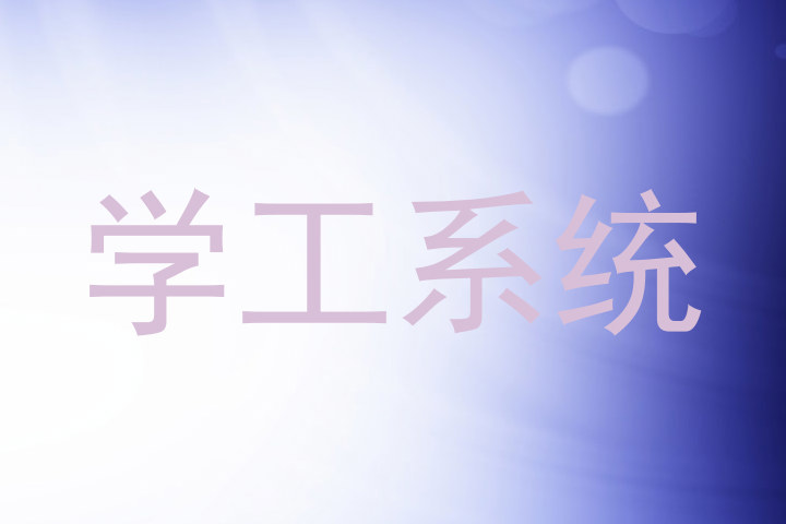 学工系统