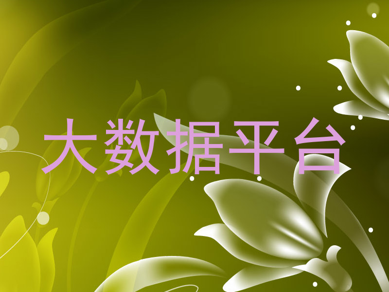 大数据平台