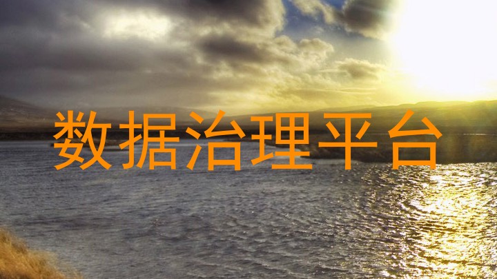 数据治理平台