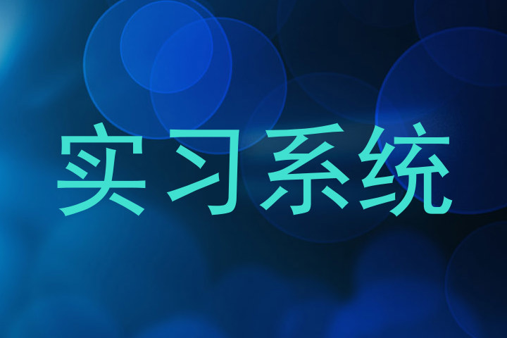 实习系统