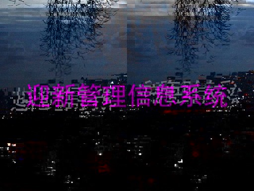 迎新管理信息系统