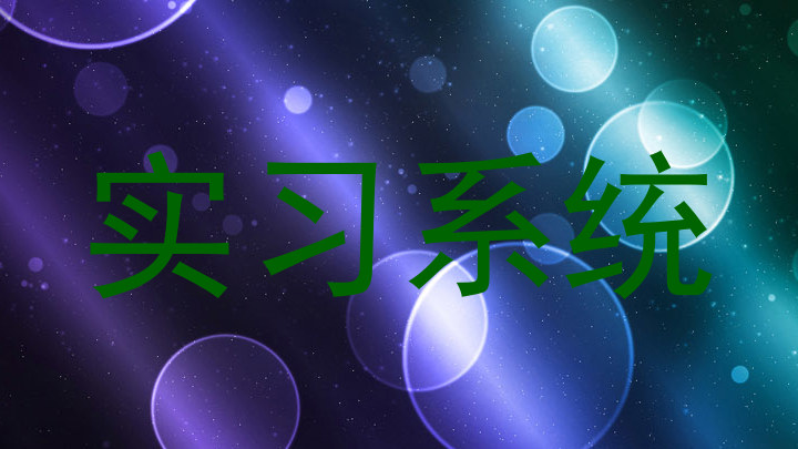实习系统