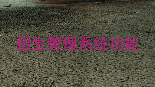 招生管理系统功能