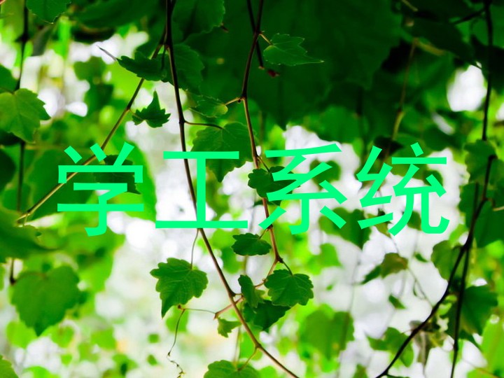 学工系统