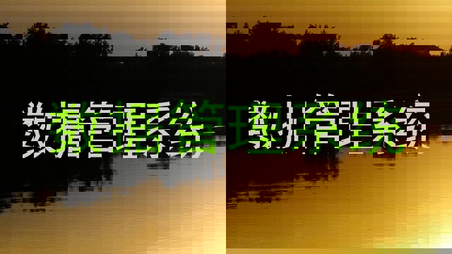 数据管理系统