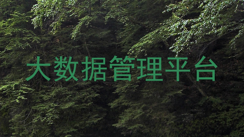 大数据管理平台