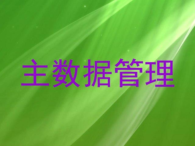 主数据管理