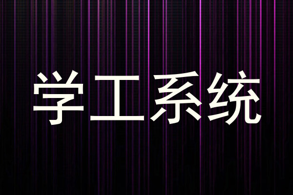 学工系统