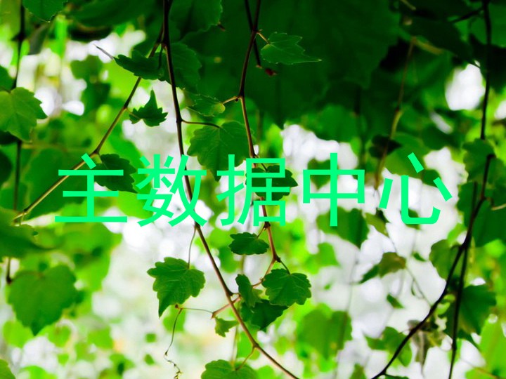 主数据中心
