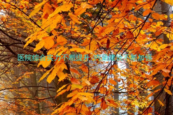 医院综合实力不断提升 内涵建设不断加强