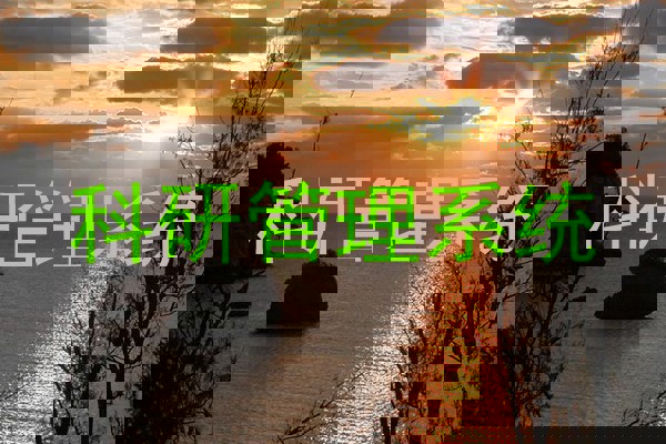 科研管理系统