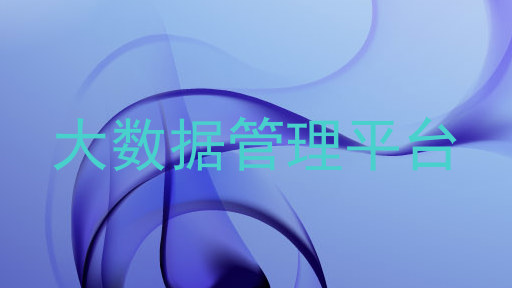大数据管理平台