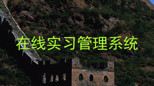 在线实习管理系统