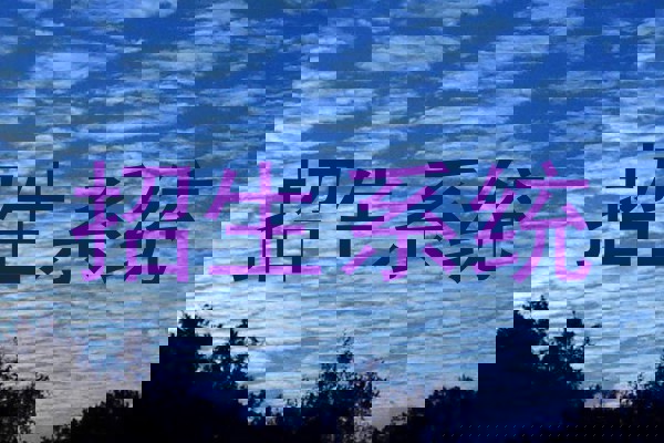 招生系统