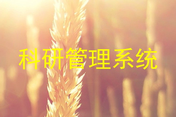 科研管理系统