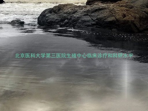 北京医科大学第三医院生殖中心临床诊疗和科研水平