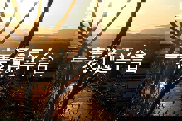 一表通平台