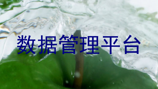 数据管理平台