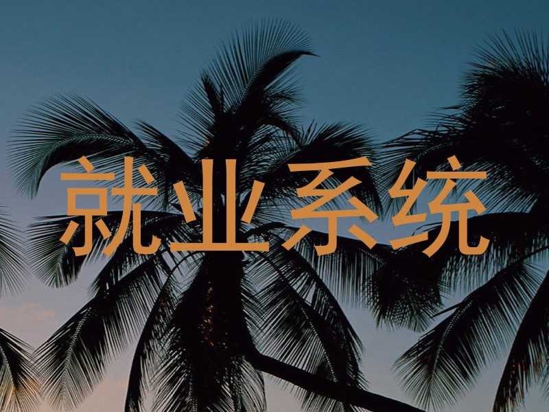 就业系统