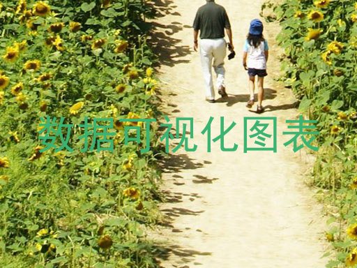 数据可视化图表
