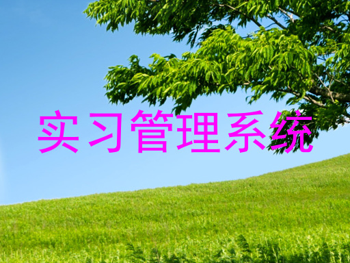实习管理系统