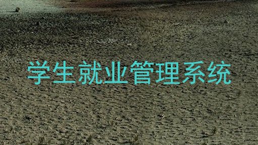 学生就业管理系统