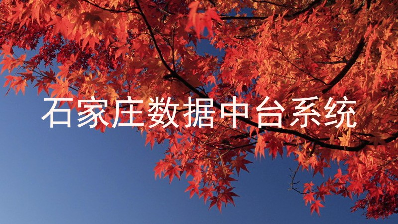 石家庄数据中台系统