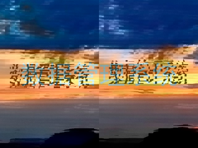 数据管理系统
