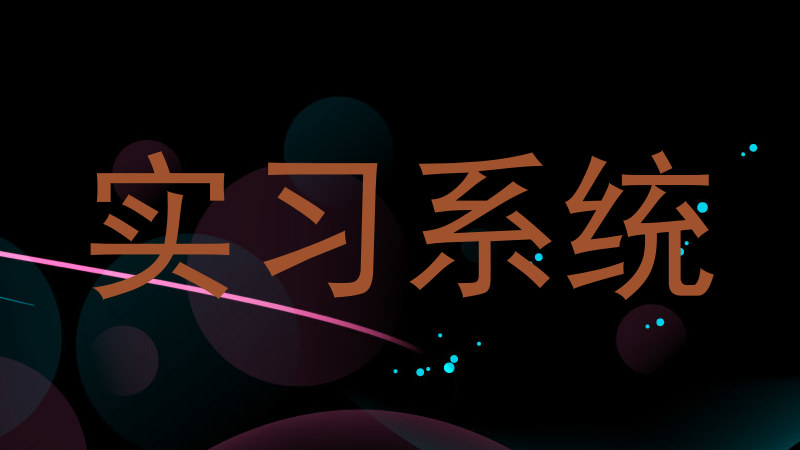 实习系统