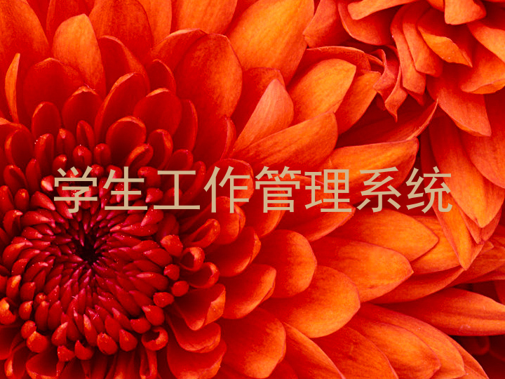 学生工作管理系统