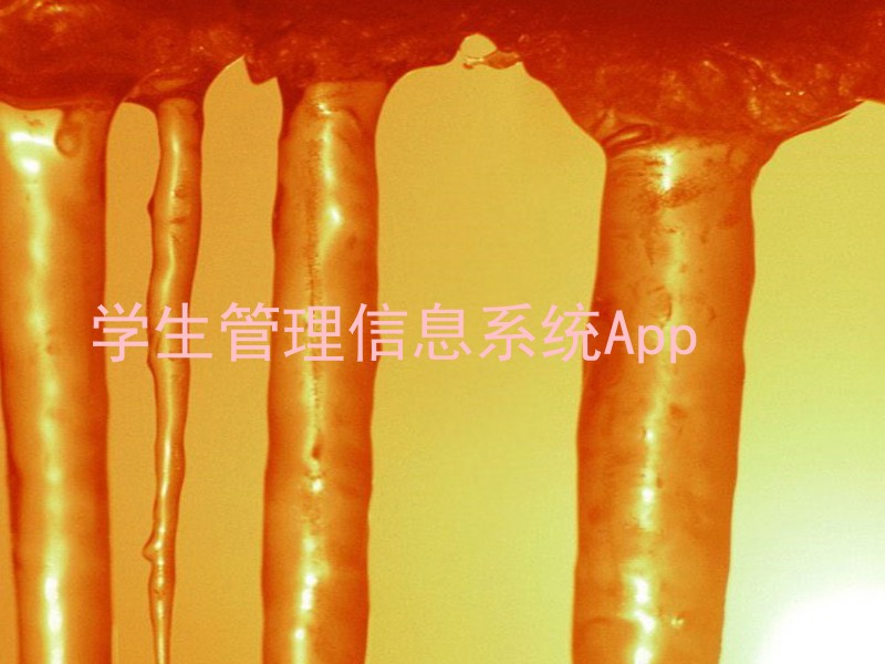学生管理信息系统App