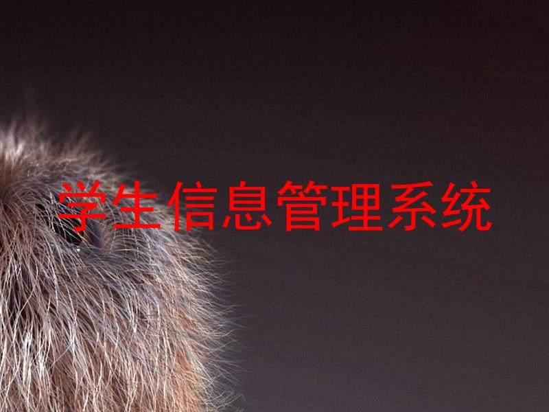 学生信息管理系统