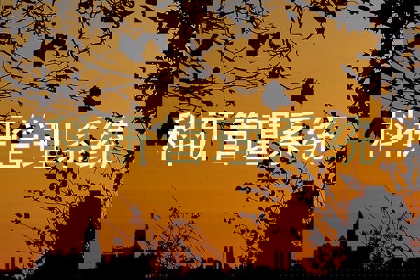 科研管理系统