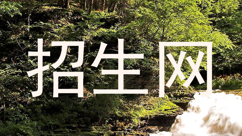 招生网