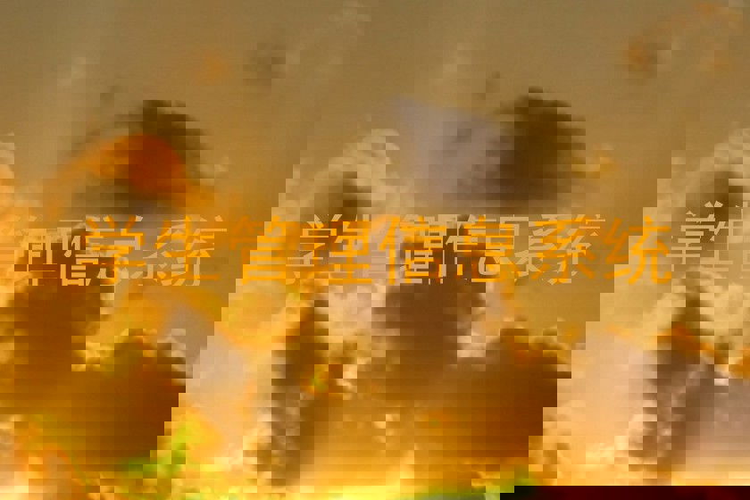 学生管理信息系统