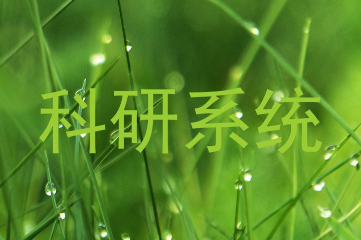 科研系统