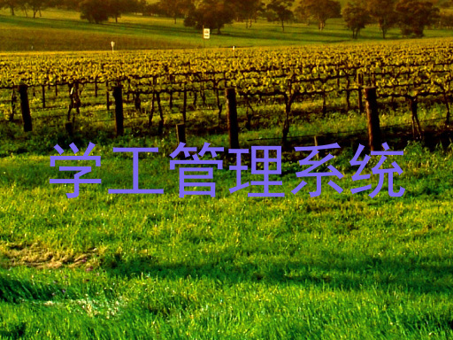 学生工作管理信息系统