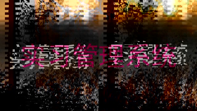 实习管理系统