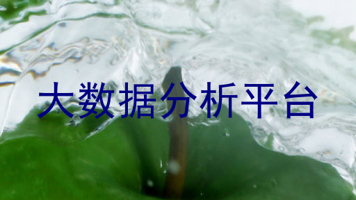 大数据分析平台